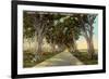 Central Highway, Havana-null-Framed Premium Giclee Print