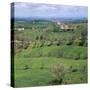 Central Italy Near Chiusi-CM Dixon-Stretched Canvas