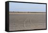 Central Kalahari National Park, Botswana, Africa-Sergio-Framed Stretched Canvas