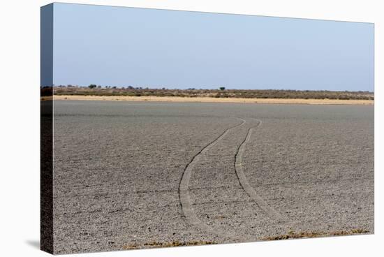 Central Kalahari National Park, Botswana, Africa-Sergio-Stretched Canvas