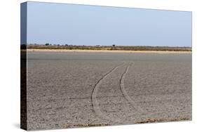 Central Kalahari National Park, Botswana, Africa-Sergio-Stretched Canvas