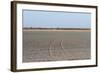 Central Kalahari National Park, Botswana, Africa-Sergio-Framed Photographic Print