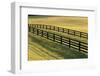 Central Kenya, Dawn View of Horse Fence-Adam Jones-Framed Photographic Print