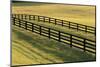 Central Kenya, Dawn View of Horse Fence-Adam Jones-Mounted Photographic Print