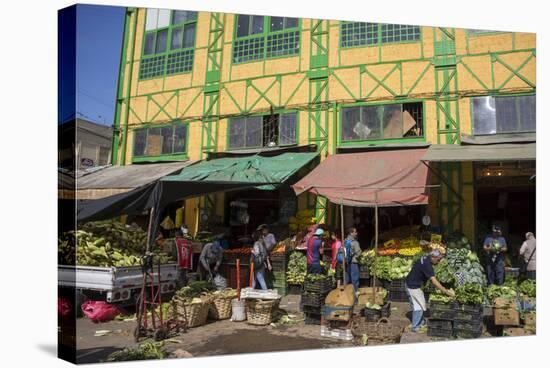 Central Market, Valparaiso, Chile-Peter Groenendijk-Stretched Canvas