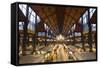 Central Markets, Budapest, Hungary, Europe-Doug Pearson-Framed Stretched Canvas