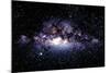 Central Milky Way In Constellation Sagittarius-Dr. Fred Espenak-Mounted Premium Photographic Print