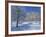 Central Naval Museum in a Snowy Winter Landscape in St. Petersburg, Russia, Europe-Christina Gascoigne-Framed Photographic Print