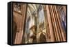 Central Nave-G and M Therin-Weise-Framed Stretched Canvas