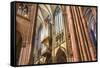 Central Nave-G and M Therin-Weise-Framed Stretched Canvas