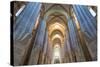 Central Nave-G and M Therin-Weise-Stretched Canvas