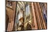 Central Nave-G and M Therin-Weise-Mounted Photographic Print