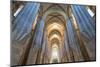 Central Nave-G and M Therin-Weise-Mounted Photographic Print