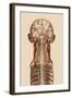 Central Nervous System Anatomy-Mehau Kulyk-Framed Premium Photographic Print