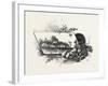 Central Ontario, Canada, Nineteenth Century-null-Framed Giclee Print