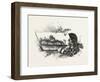 Central Ontario, Canada, Nineteenth Century-null-Framed Premium Giclee Print