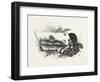 Central Ontario, Canada, Nineteenth Century-null-Framed Premium Giclee Print