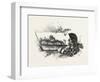 Central Ontario, Canada, Nineteenth Century-null-Framed Premium Giclee Print