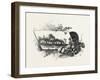 Central Ontario, Canada, Nineteenth Century-null-Framed Giclee Print