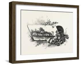 Central Ontario, Canada, Nineteenth Century-null-Framed Giclee Print