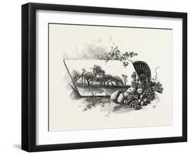 Central Ontario, Canada, Nineteenth Century-null-Framed Giclee Print