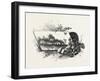 Central Ontario, Canada, Nineteenth Century-null-Framed Giclee Print