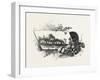 Central Ontario, Canada, Nineteenth Century-null-Framed Giclee Print