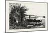 Central Ontario, Watching for Deer, Canada, Nineteenth Century-null-Mounted Giclee Print