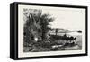 Central Ontario, Watching for Deer, Canada, Nineteenth Century-null-Framed Stretched Canvas