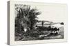 Central Ontario, Watching for Deer, Canada, Nineteenth Century-null-Stretched Canvas