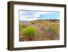 Central OR, Redmond, Bend, Mitchell. Series of low clay hills striped in colorful bands of minerals-Emily Wilson-Framed Photographic Print