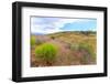 Central OR, Redmond, Bend, Mitchell. Series of low clay hills striped in colorful bands of minerals-Emily Wilson-Framed Photographic Print