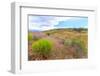 Central OR, Redmond, Bend, Mitchell. Series of low clay hills striped in colorful bands of minerals-Emily Wilson-Framed Photographic Print