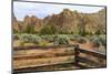 Central OR, Redmond, Terrebonne. Smith Rock State Park. Crooked River. High Desert.-Emily Wilson-Mounted Photographic Print