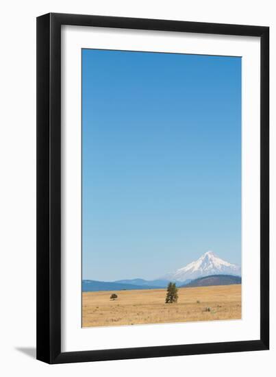 Central Oregon's High Desert with Mount Hood, part of the Cascade Range, Pacific Northwest region, -Martin Child-Framed Photographic Print