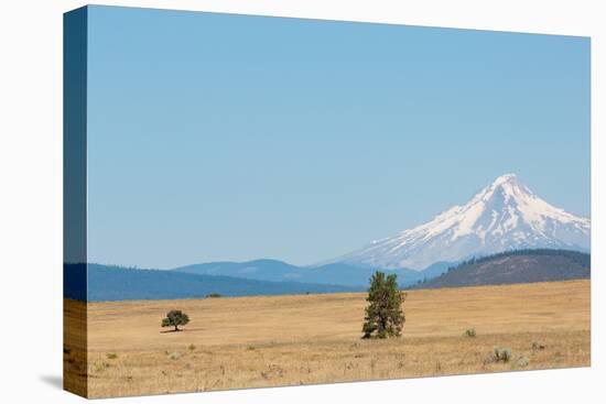 Central Oregon's High Desert with Mount Hood, part of the Cascade Range, Pacific Northwest region,-Martin Child-Stretched Canvas