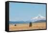 Central Oregon's High Desert with Mount Hood, part of the Cascade Range, Pacific Northwest region,-Martin Child-Framed Stretched Canvas