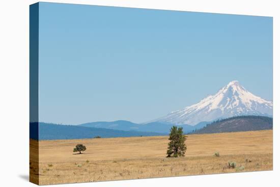 Central Oregon's High Desert with Mount Hood, part of the Cascade Range, Pacific Northwest region,-Martin Child-Stretched Canvas