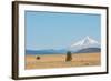 Central Oregon's High Desert with Mount Hood, part of the Cascade Range, Pacific Northwest region,-Martin Child-Framed Photographic Print