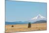 Central Oregon's High Desert with Mount Hood, part of the Cascade Range, Pacific Northwest region,-Martin Child-Mounted Photographic Print