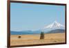 Central Oregon's High Desert with Mount Hood, part of the Cascade Range, Pacific Northwest region,-Martin Child-Framed Photographic Print