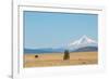 Central Oregon's High Desert with Mount Hood, part of the Cascade Range, Pacific Northwest region,-Martin Child-Framed Photographic Print