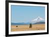 Central Oregon's High Desert with Mount Hood, part of the Cascade Range, Pacific Northwest region,-Martin Child-Framed Photographic Print