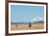 Central Oregon's High Desert with Mount Hood, part of the Cascade Range, Pacific Northwest region,-Martin Child-Framed Photographic Print