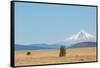 Central Oregon's High Desert with Mount Hood, part of the Cascade Range, Pacific Northwest region,-Martin Child-Framed Stretched Canvas