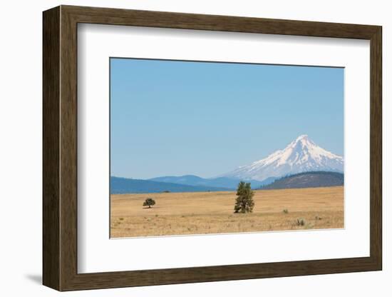 Central Oregon's High Desert with Mount Hood, part of the Cascade Range, Pacific Northwest region,-Martin Child-Framed Photographic Print