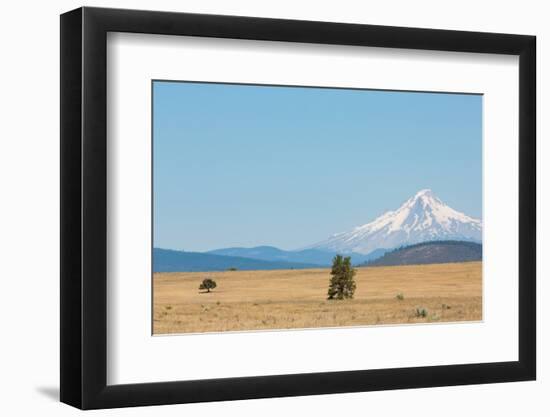 Central Oregon's High Desert with Mount Hood, part of the Cascade Range, Pacific Northwest region,-Martin Child-Framed Photographic Print