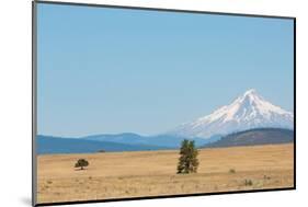 Central Oregon's High Desert with Mount Hood, part of the Cascade Range, Pacific Northwest region,-Martin Child-Mounted Photographic Print