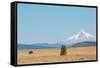Central Oregon's High Desert with Mount Hood, part of the Cascade Range, Pacific Northwest region,-Martin Child-Framed Stretched Canvas