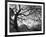 Central Park #1, New York, New York 05-Monte Nagler-Framed Photographic Print